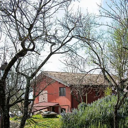 Il giardino dei mandorli-3