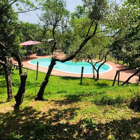 Il giardino dei mandorli-2